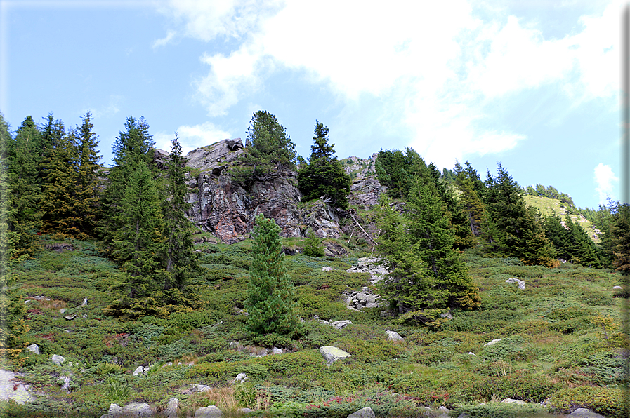 foto Da Forcella Montalon a Val Campelle